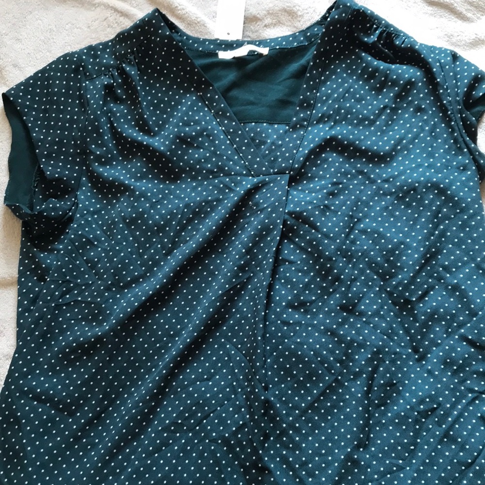 Sheer short sleeve shirt.